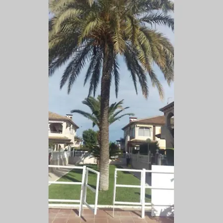 Apartamento La Casa De La Palmera *